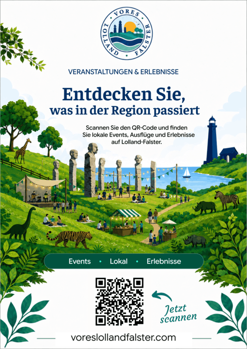 Flyer DE