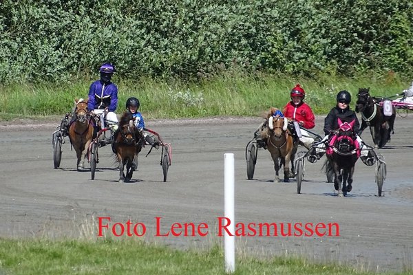 7. løbsdag med Travskolematch (Skovbo/Lunden mod Nykøbing F.)