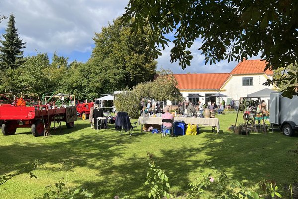 🎉🌻 Vindebydag 2026 🌻🎉
