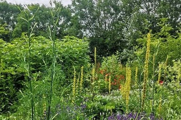 Guided tour at Radstedgaard: Self-sufficiency, permaculture, and a garden full of life with Simon Gillesberg.