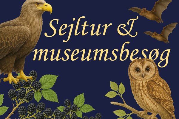 Sejltur & museum – Skumring ved Maribosøerne