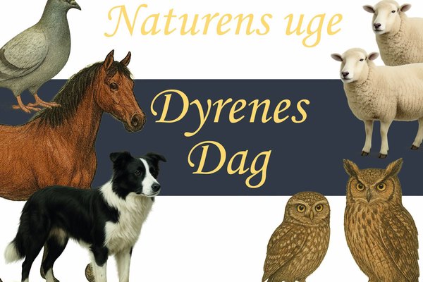 Dyrenes Dag