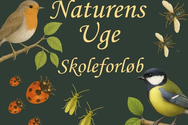 Gratis undervisningsforløb for skoleklasser under Naturens Uge