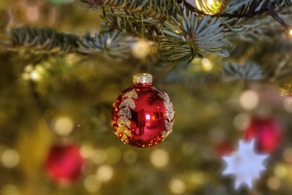 Julefrokost