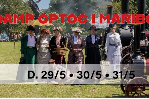 Dampoptog midt i Maribo