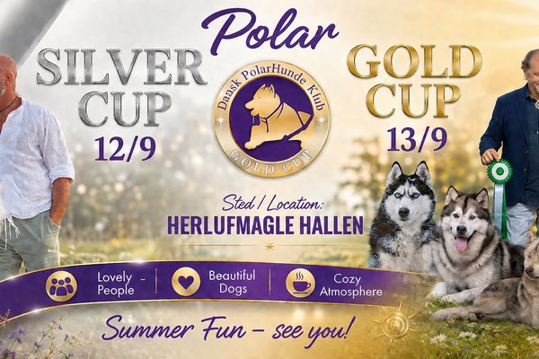 Polar Cup 2026
