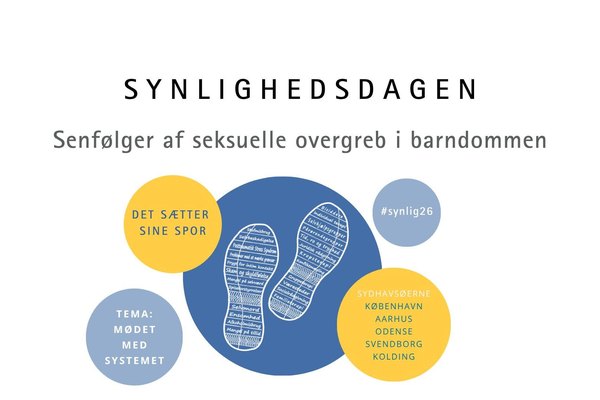 Synlighedsdagen Maribo 2026: Mødet med systemet