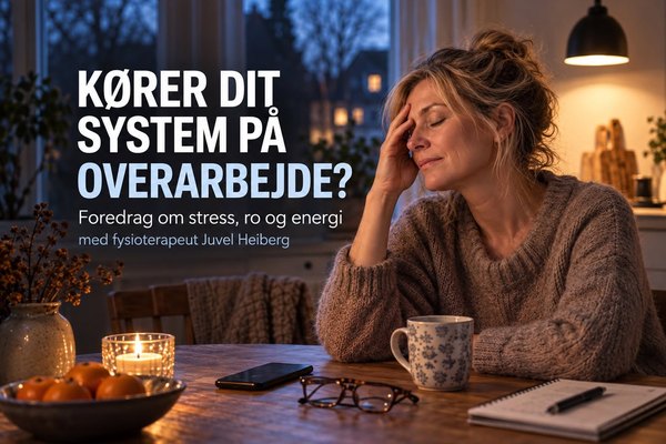 Fra Stress til Ro og mere Overskud