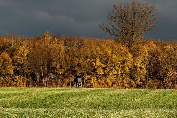 Wohlbefinden, Zusammenarbeit und nachhaltige Arbeitsgemeinschaften