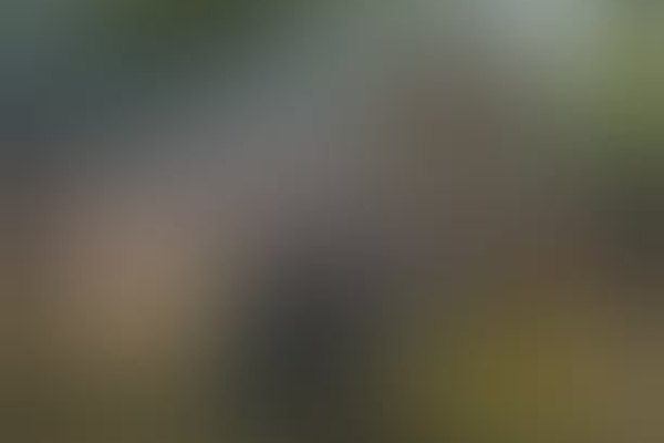 UdeUngers kreative naturværksted