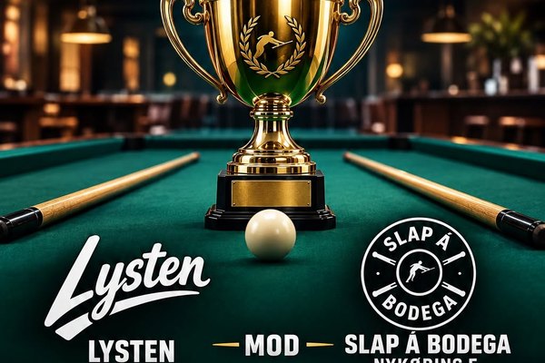 Pokal kamp - Holdbillard Billard Syd