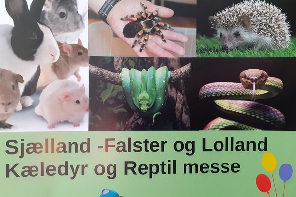 Sjælland - Lolland-Falster kæledyr og reptilmesse