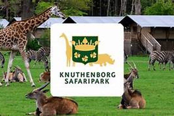 Medlemstur til Knuthenborg Safaripark, 11. juni, kl. 13.00
