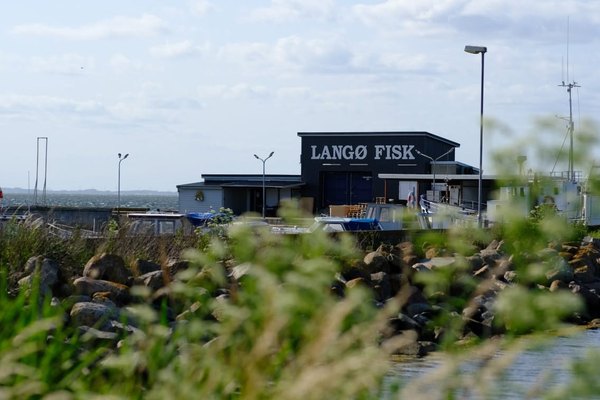 Nakskov Fjordfestival: Ansigtsmaling i Langø lystbådehavn