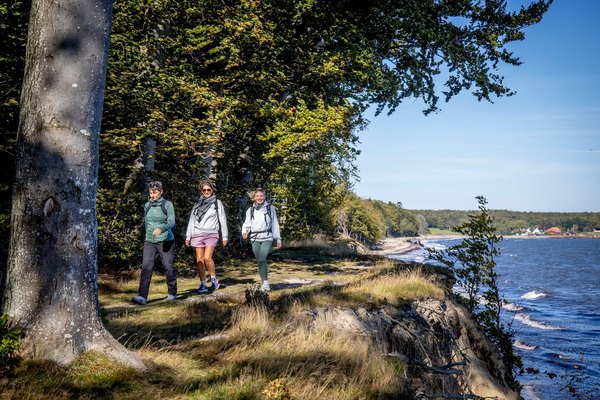 Hesnæs Kystvandring 2026