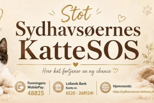 Loppemarked til fordel for Sydhavsøernes KatteSOS